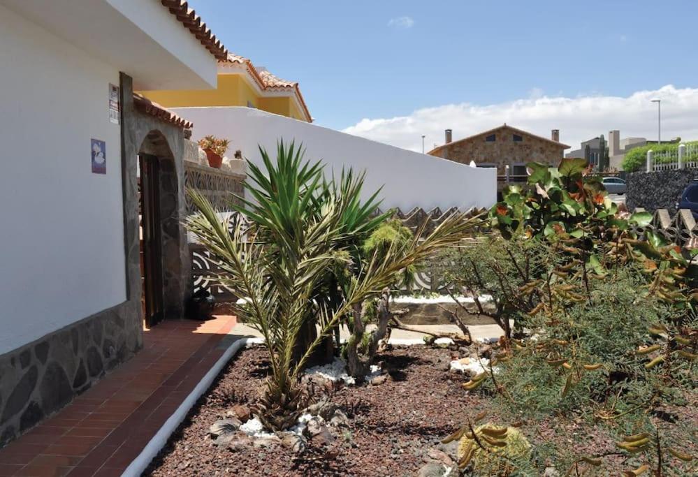 Los Cisnes Encantadora Casa Con Jardin Y Estudio Vista Al Mar El Médano Eksteriør bilde